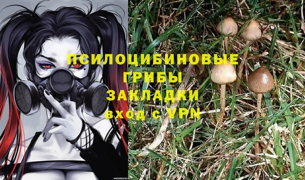 герыч Зеленодольск