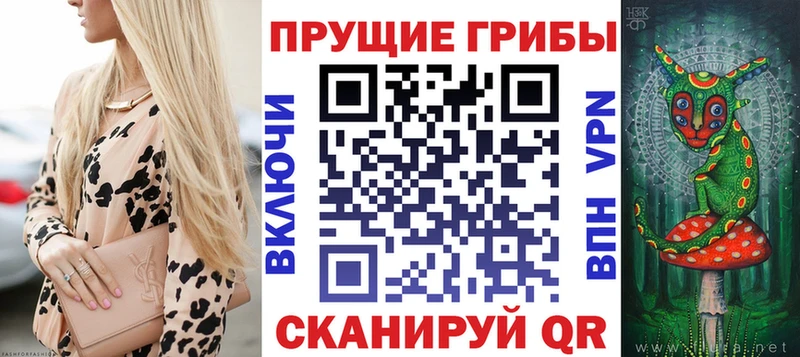 Купить где  Карабулак  Псилоцибиновые грибы Psilocybe 